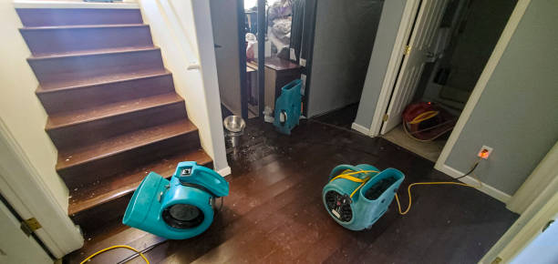 Carpet water damage restoration in WI
